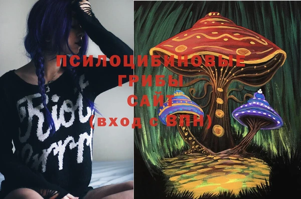 хмурый Алексеевка