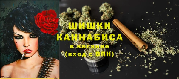 бошки Белокуриха