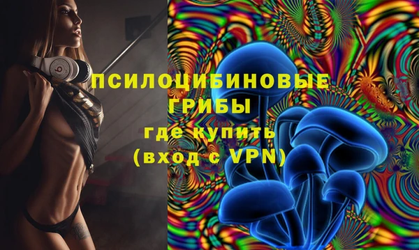 бошки Белокуриха