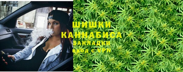 бошки Белокуриха
