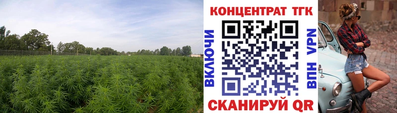 гидра tor  даркнет сайт  darknet какой сайт  ТГК Wax  Красный Кут 